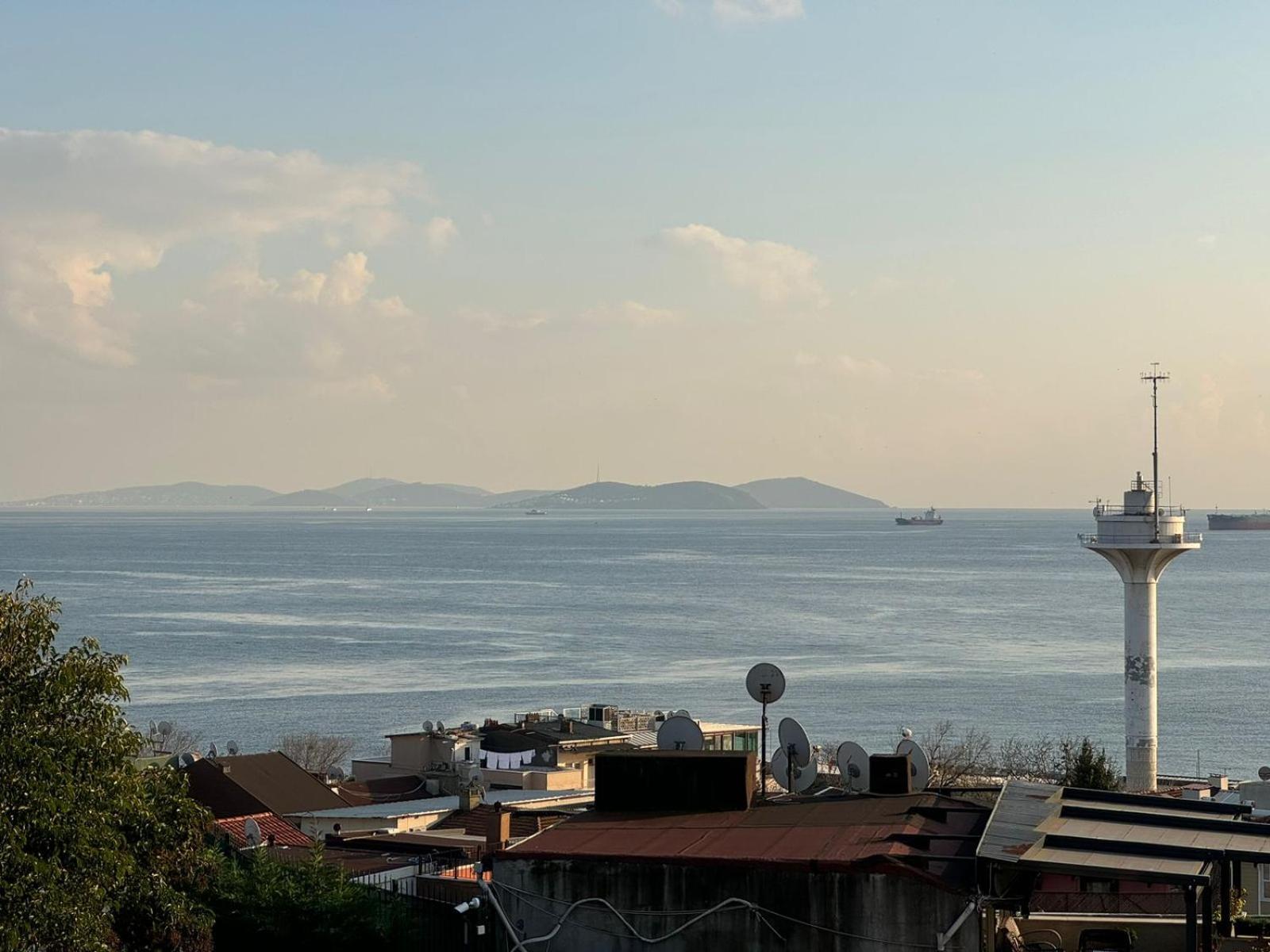 Blue With Views *